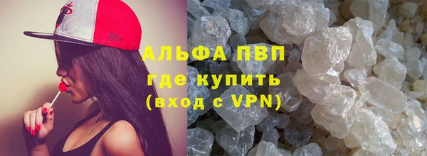 стаф Арсеньев