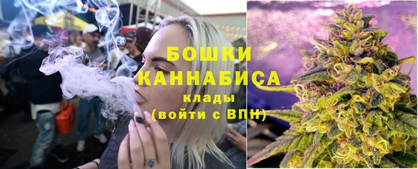 стаф Арсеньев