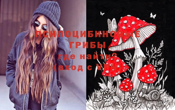 гидропоника Бугульма
