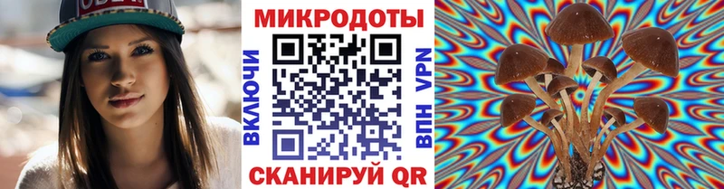 Галлюциногенные грибы GOLDEN TEACHER  магазин продажи наркотиков  Бикин 